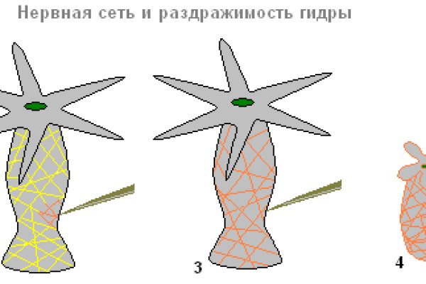 Какая ссылка у кракена